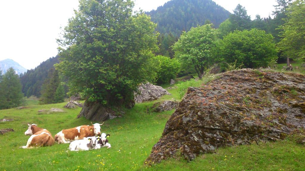 Pension Siegelbrunn B&B Мальниц Номер фото